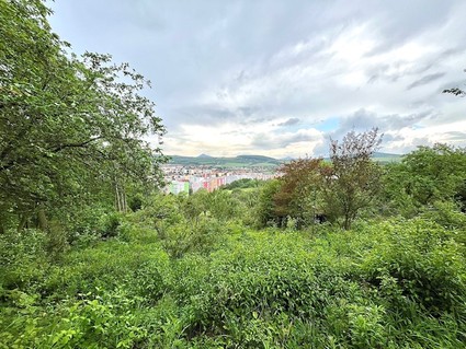 Prodej pozemku na Mostné hoře v Litoměřicích - Fotka 10