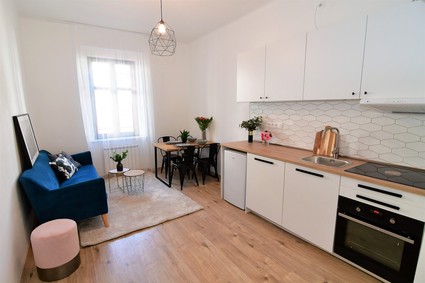 Pronájem bytu 1+1 v Sámově ulici v Litoměřicích - Fotka 11