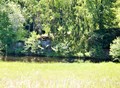 Fotka 18