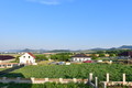 Fotka 9