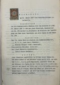 Fotka 6