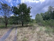 Prodej pozemků k zástavbě v Srní v Máchově &hellip;